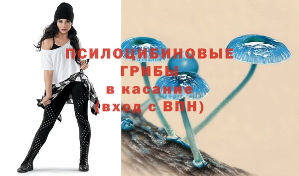 ALPHA PVP Алзамай