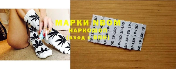 прущие грибы Алексеевка