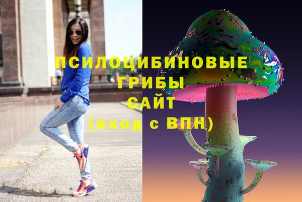 прущие грибы Алексеевка