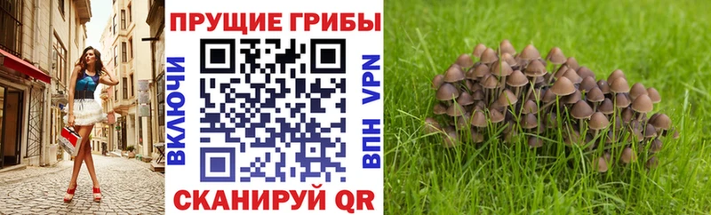 Псилоцибиновые грибы мухоморы  Тюмень 